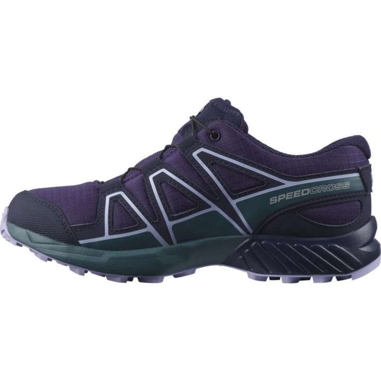 Salomon Speedcross CSWP Kids' Hiking Shoes Purple | CA 17V40